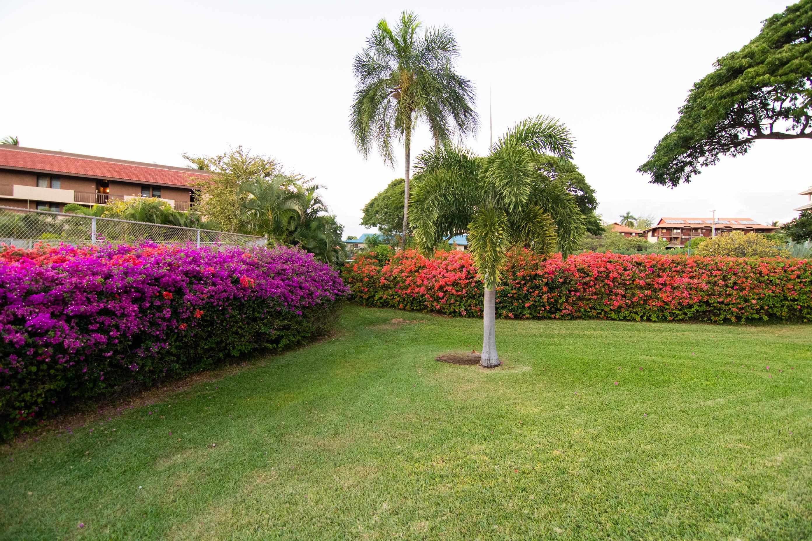 2191 South Kihei Road, Unit 2317 Kihei, HI 96753 - Photo 27 of 30