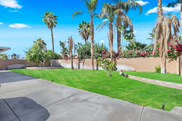 a view of a backyard with palm trees