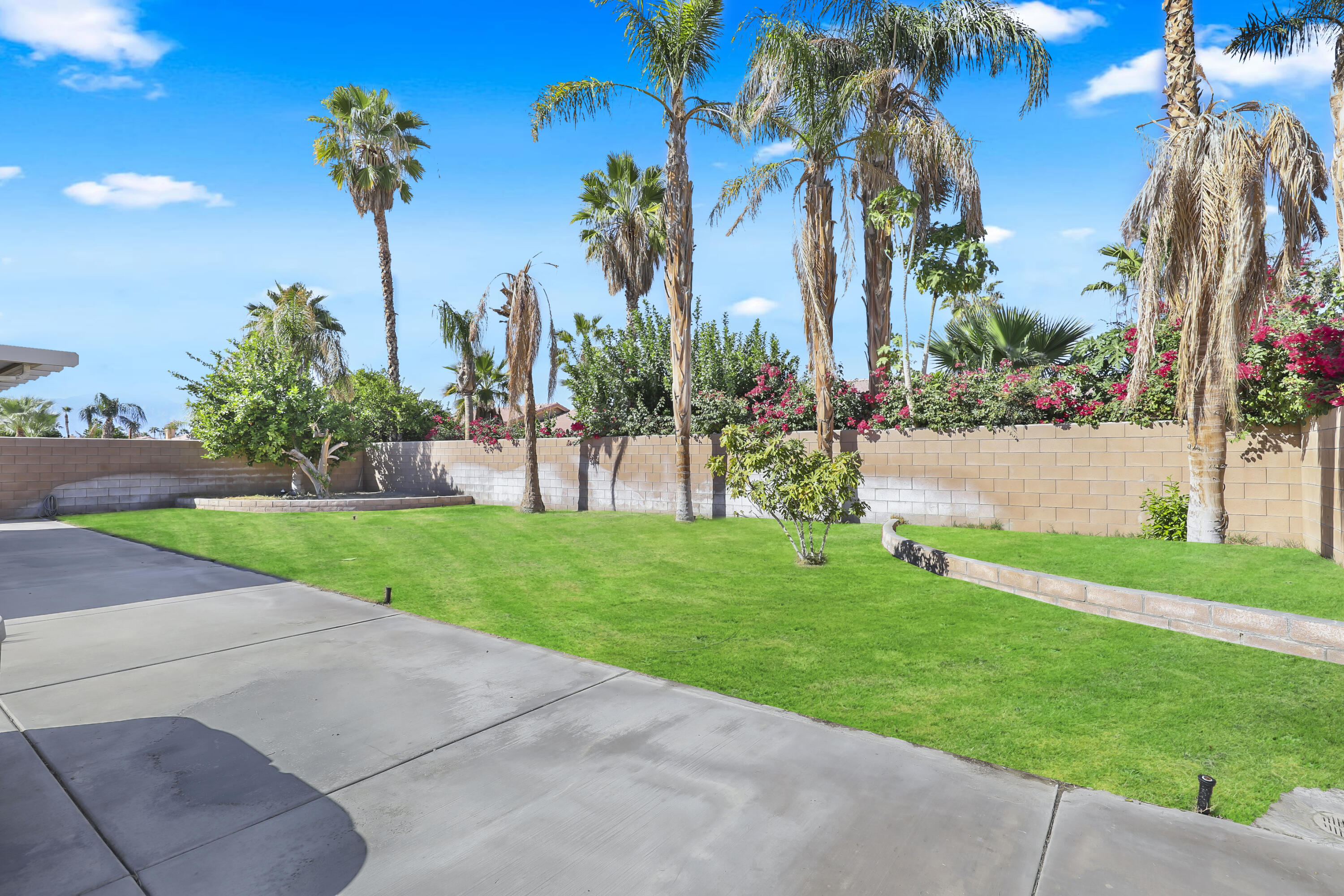 80628 Virginia Avenue Indio, CA 92201 - Photo 28 of 34 a view of a backyard with palm trees