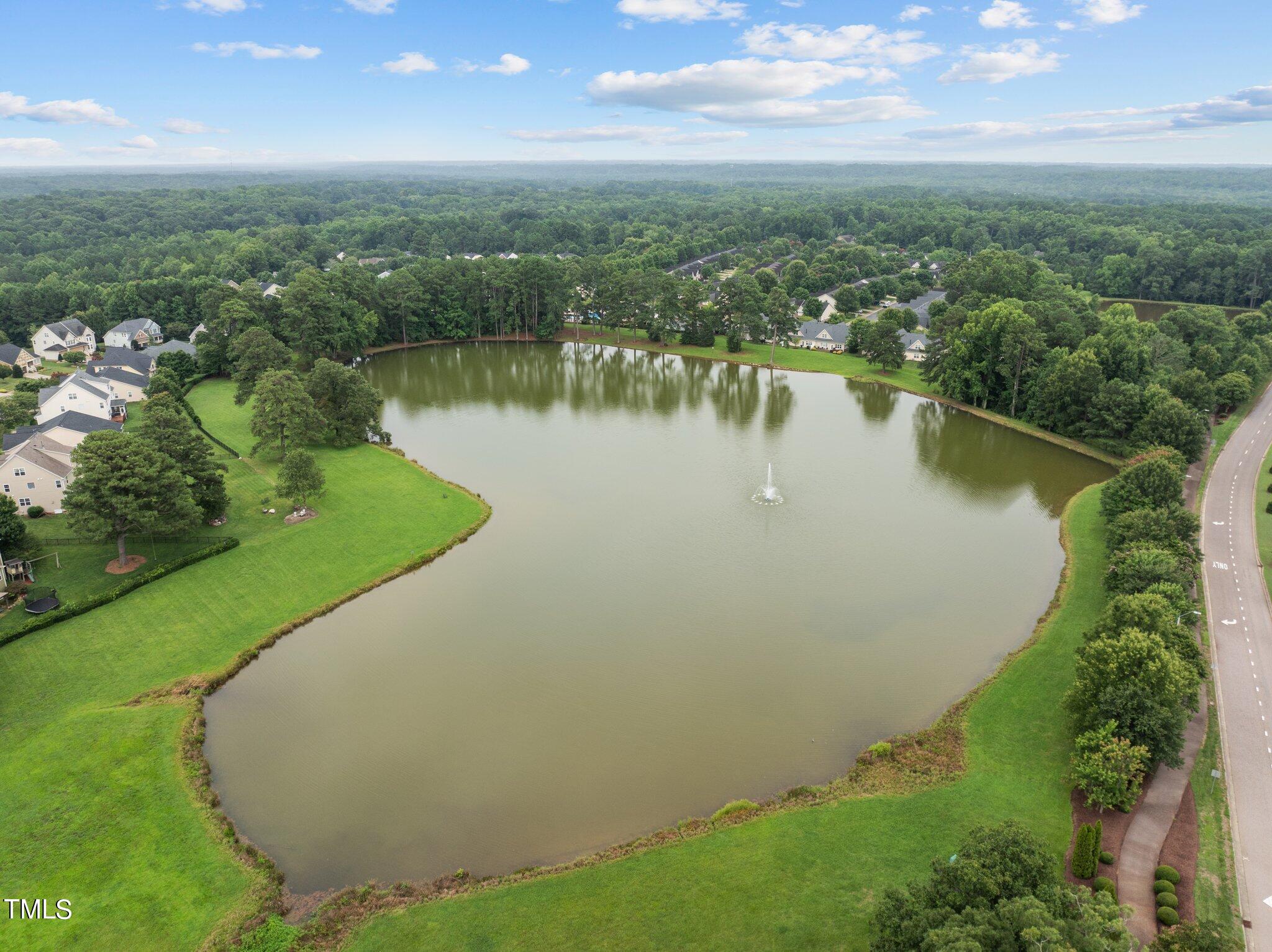 3728 Wesley Ridge Drive Apex, NC 27539 - Photo 62 of 64 53-web-or-mls-DJI_0495