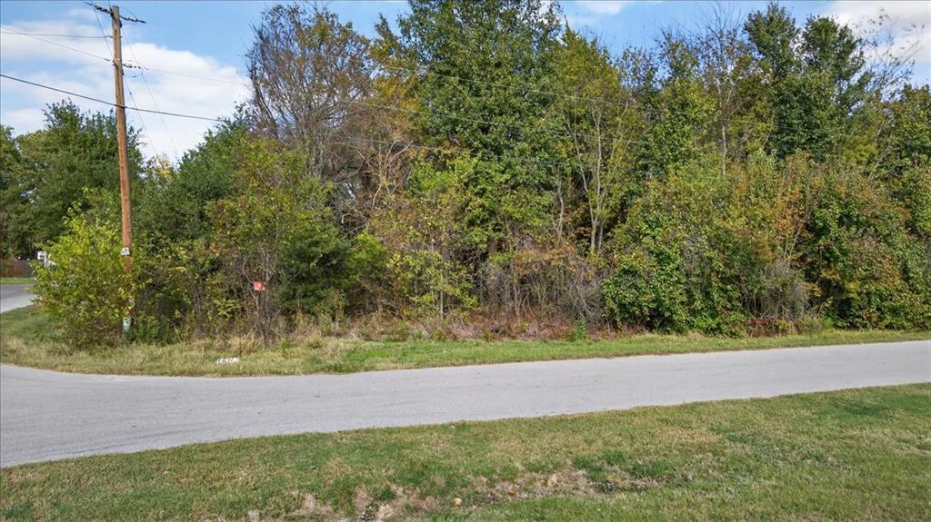 721 Oahu Loop Tool, TX 75143 - Photo 11 of 12 a view of yard