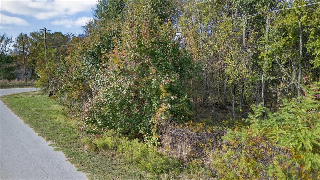 721 Oahu Loop Tool, TX 75143 - Photo 10 of 12 a view of a yard with plants and a small yard
