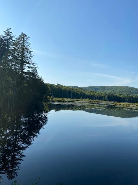 104 Drake Pond Road Jackson, ME 04921 - Photo 1 of 3 DP POND