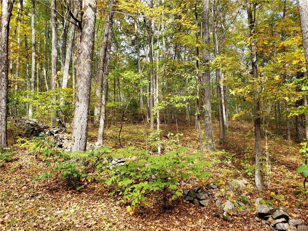 8 Forest Ridge Road Woodbury, CT 06798 - Photo 1 of 1