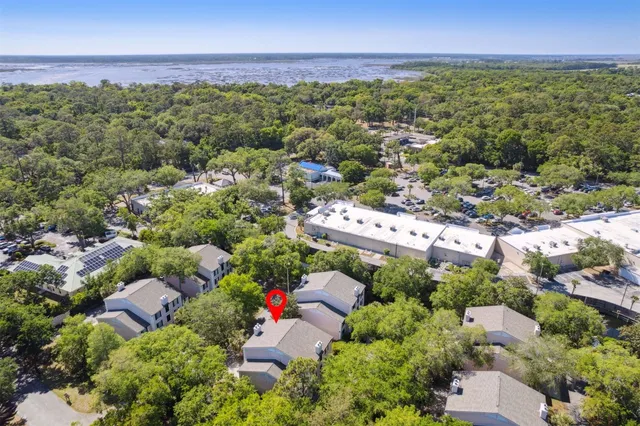 a view of a city and lush green forest