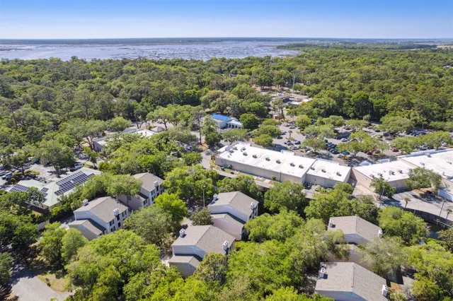 a view of a city with lush green forest