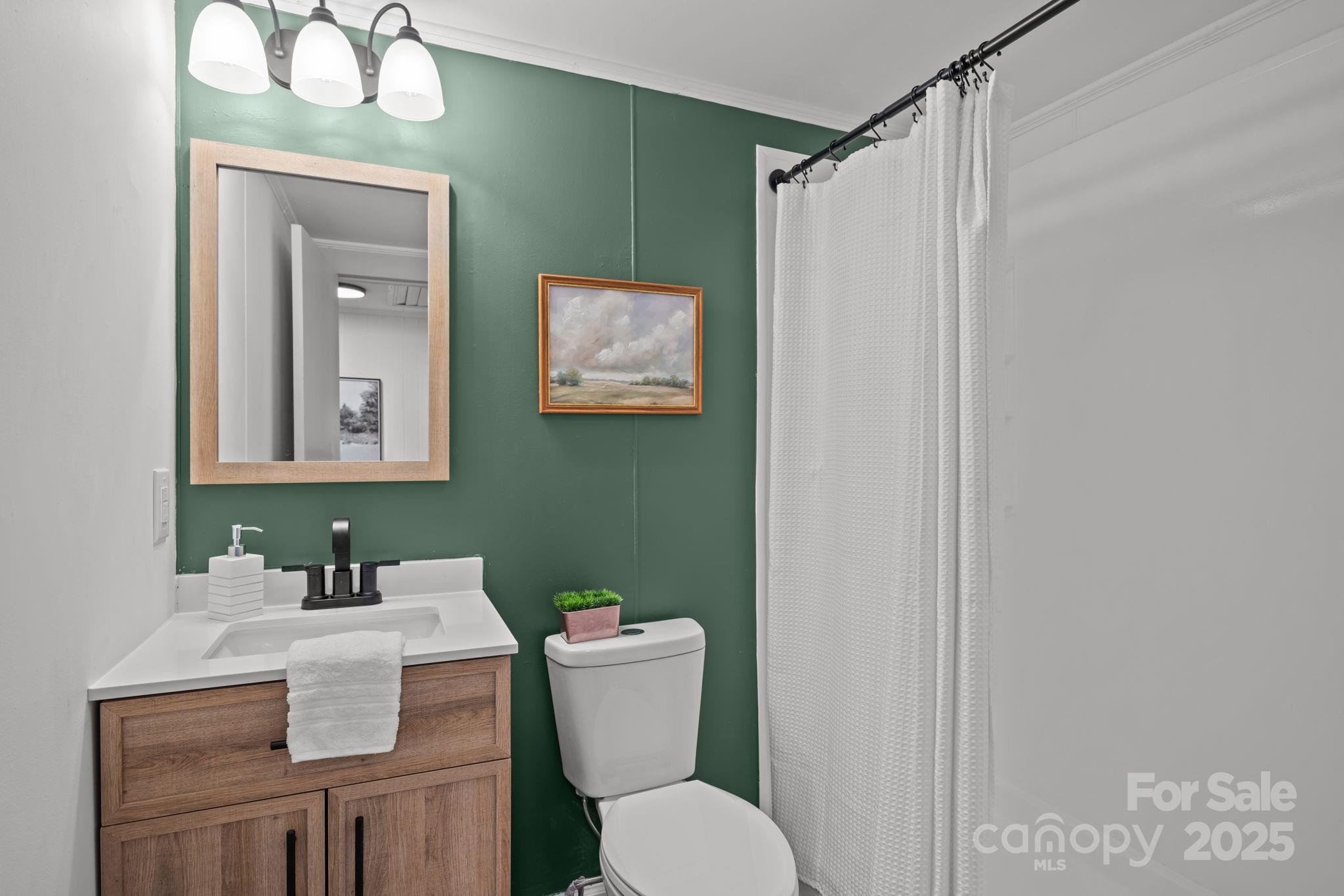 1362 Cornatzer Road Mocksville, NC 27028 - Photo 20 of 48 a bathroom with a toilet sink and mirror