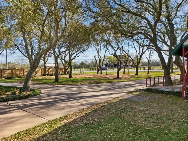 a view of a yard with large trees