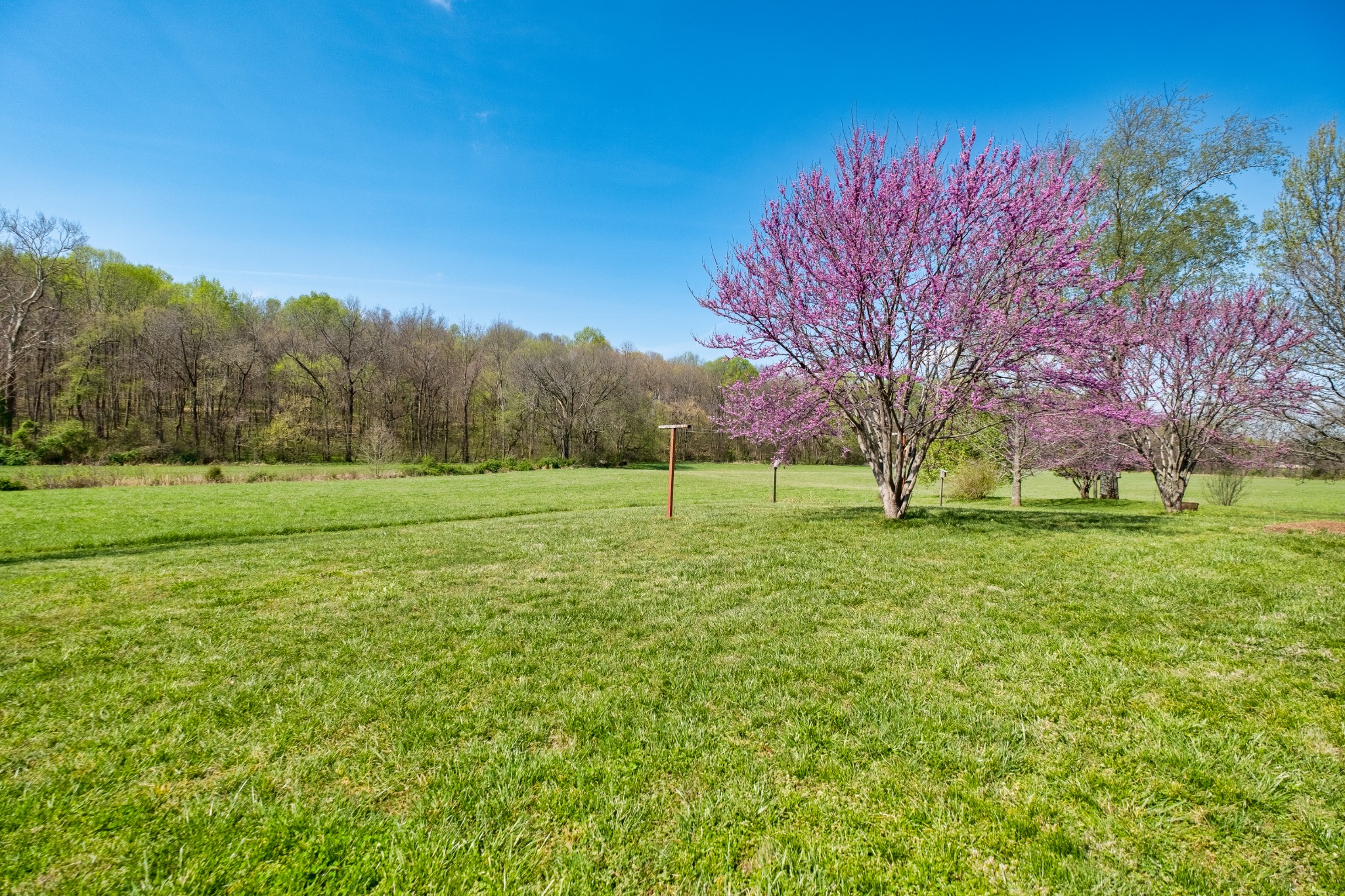 4970 Mt Zion Road Springfield, TN 37172 - Photo 21 of 21 a view of a field with trees