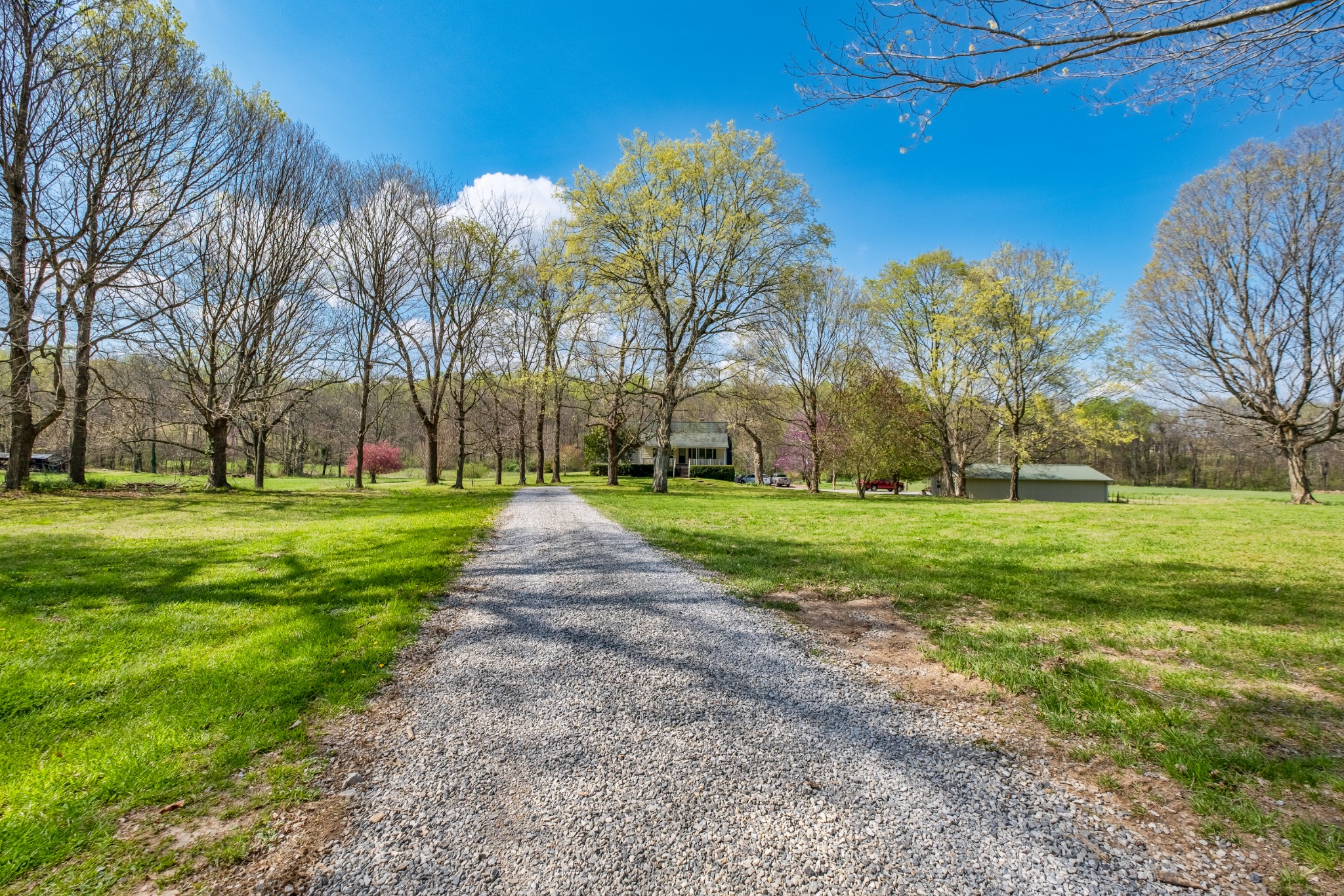 4970 Mt Zion Road Springfield, TN 37172 - Photo 6 of 21 a view of a park with tree s