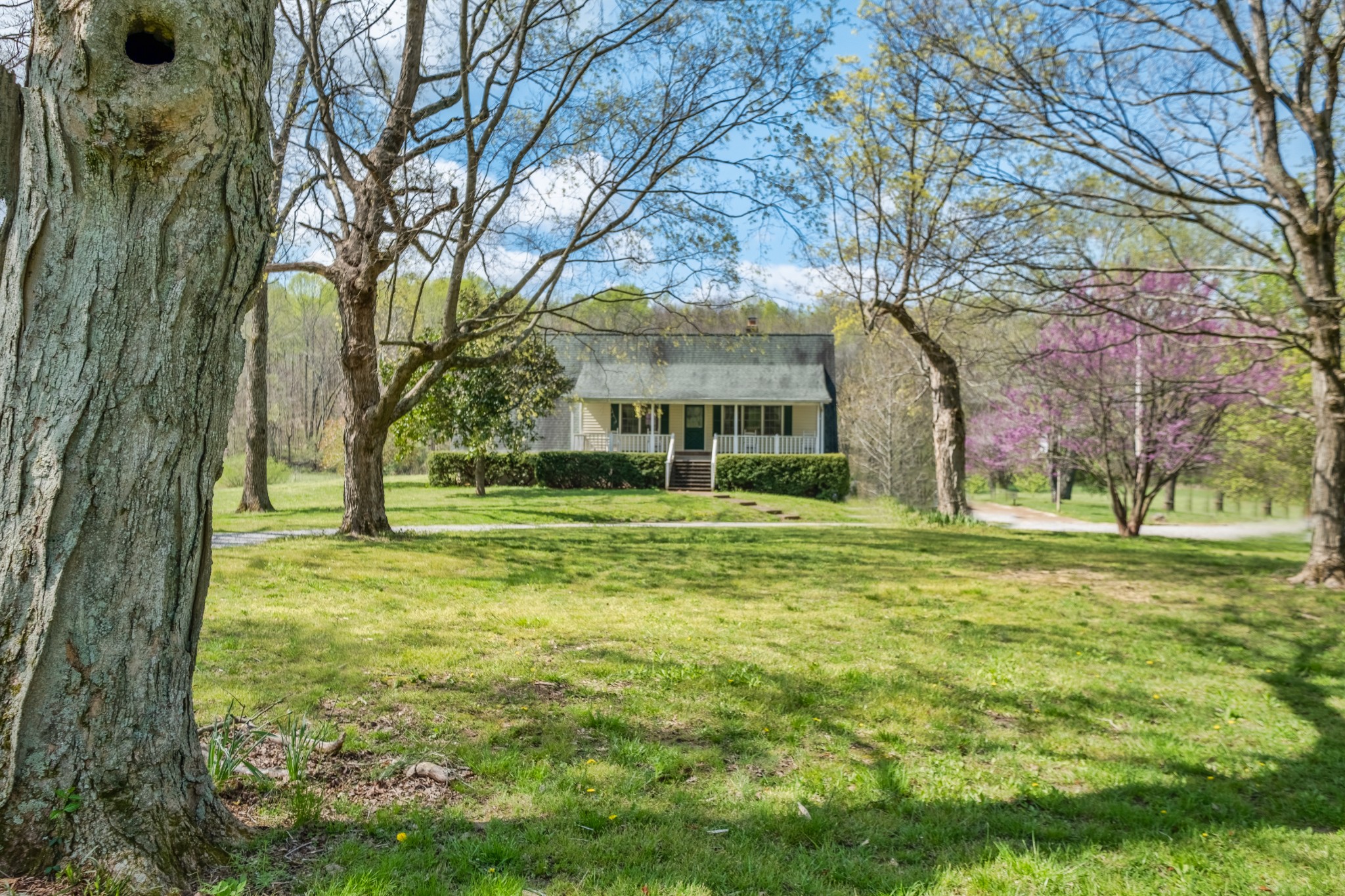 4970 Mt Zion Road Springfield, TN 37172 - Photo 7 of 21 a view of a house with a big yard