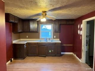 409 East Main Street Fieldon, IL 62031 - Photo 4 of 16 Gallery Image 4