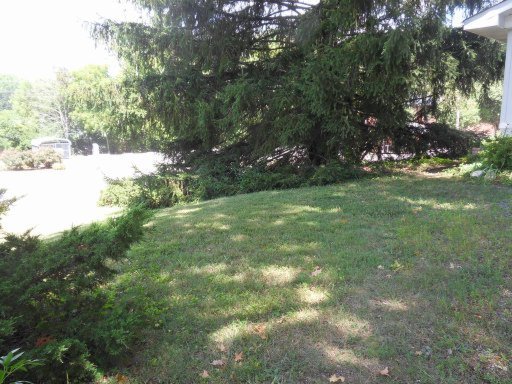 242 South Purdue Avenue Oak Ridge, TN 37830 - Photo 15 of 16 Additional Photo