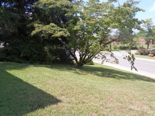 242 South Purdue Avenue Oak Ridge, TN 37830 - Photo 16 of 16 Additional Photo