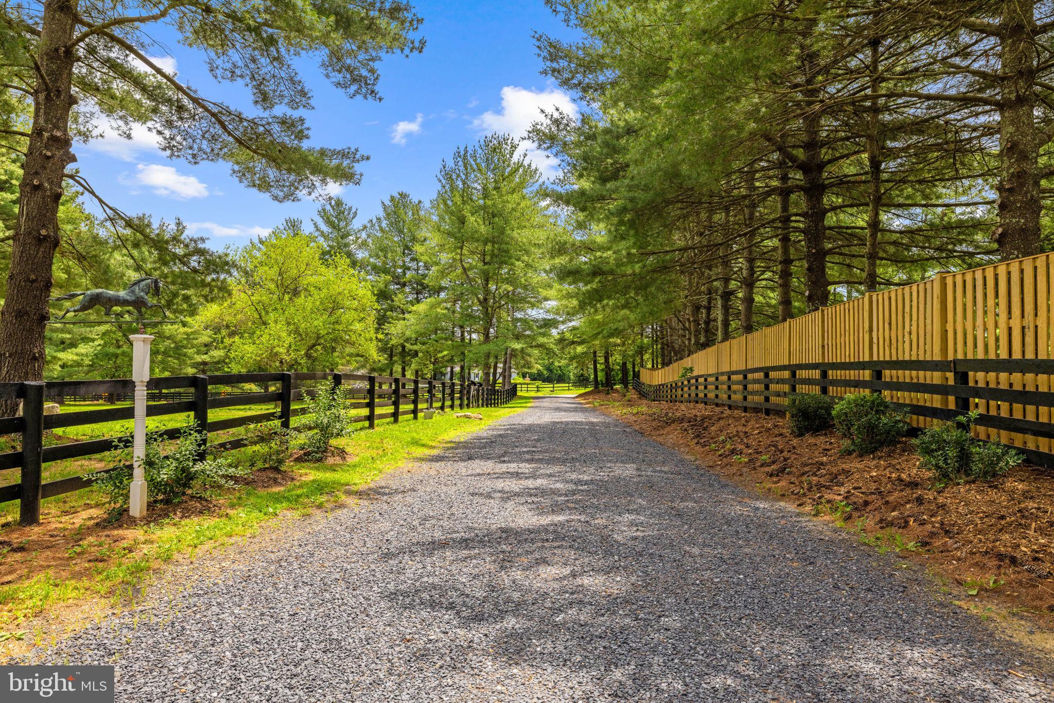 21185 St Louis Road Middleburg, VA 20117 - Photo 78 of 83