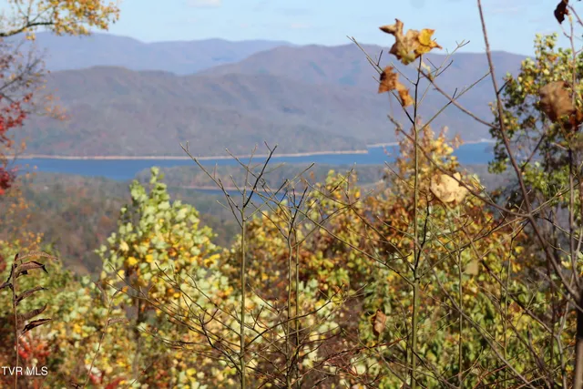 $54,900 | 48 Locust Lane, Unit 48, Butler, TN 37640