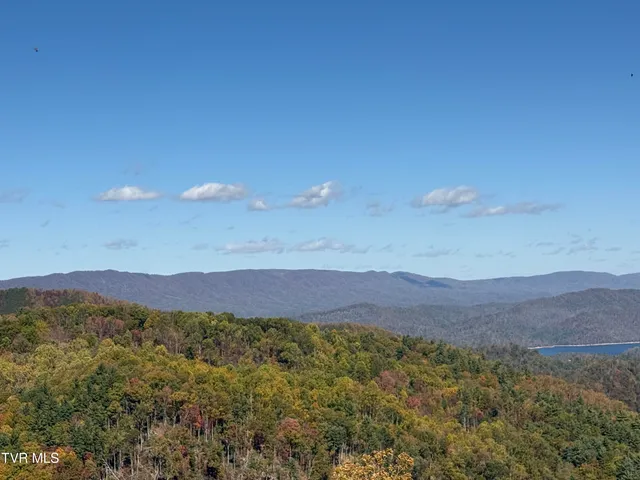 $54,900 | 48 Locust Lane, Unit 48, Butler, TN 37640