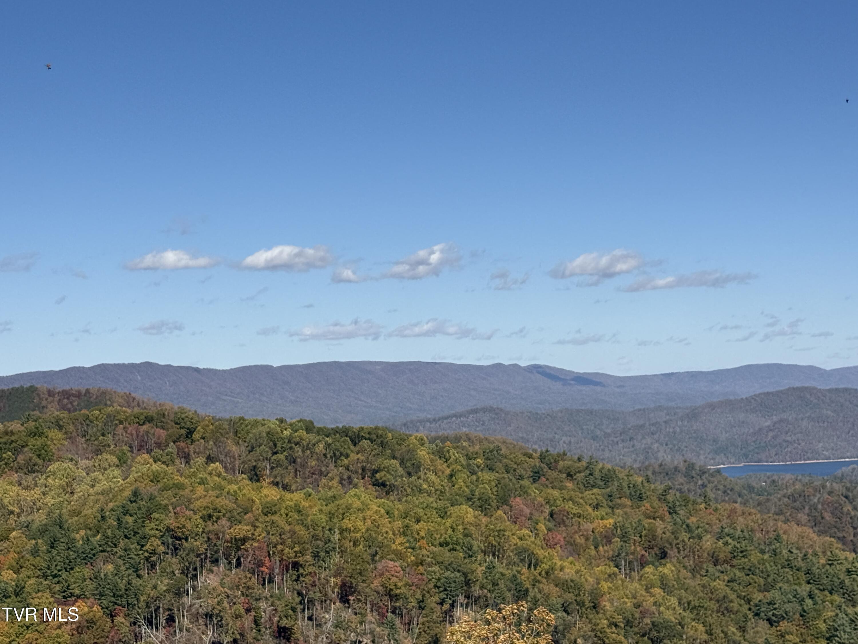 48 Locust Lane, Unit 48 Butler, TN 37640 - Photo 4 of 7 4