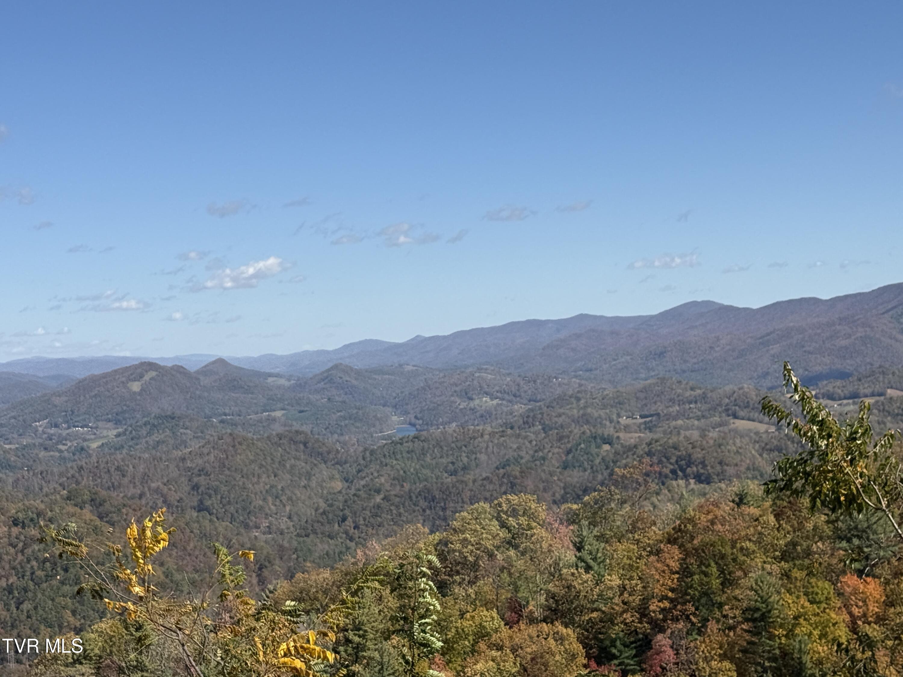 48 Locust Lane, Unit 48 Butler, TN 37640 - Photo 5 of 7 5