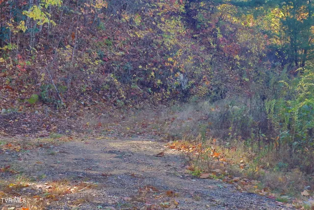 $54,900 | 48 Locust Lane, Unit 48, Butler, TN 37640