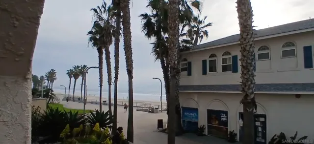 a view of a white house with a small yard and plants