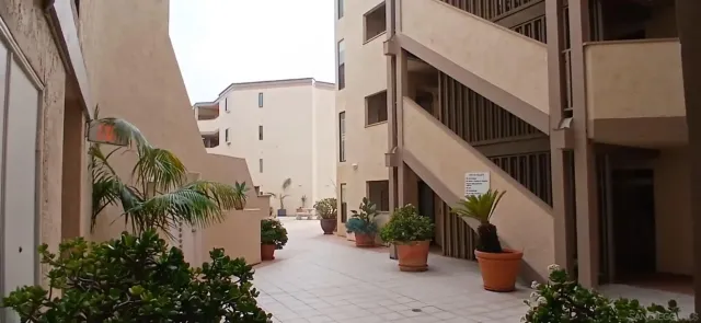 a view of a potted plants next to a building