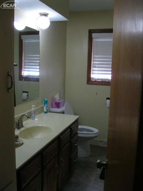 1660 Copas Road Owosso, MI 48867 - Photo 11 of 16 20423224-10.JPG