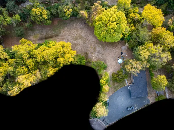 a view of a yard