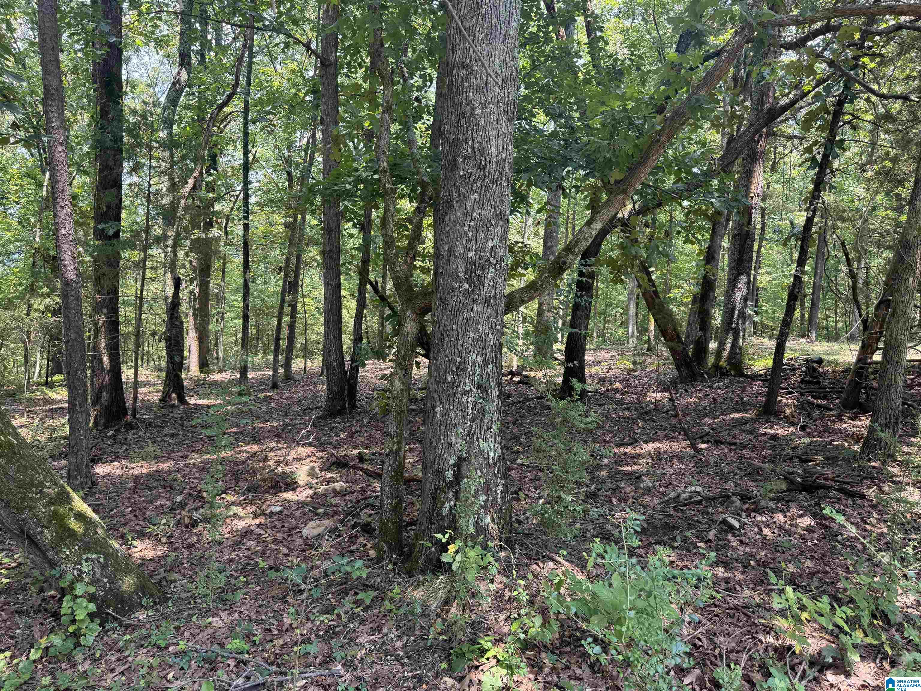 305 Stone Ridge Trail North Anniston, AL 36207 - Photo 47 of 72