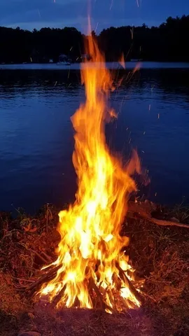 a view of an outdoor space and yard
