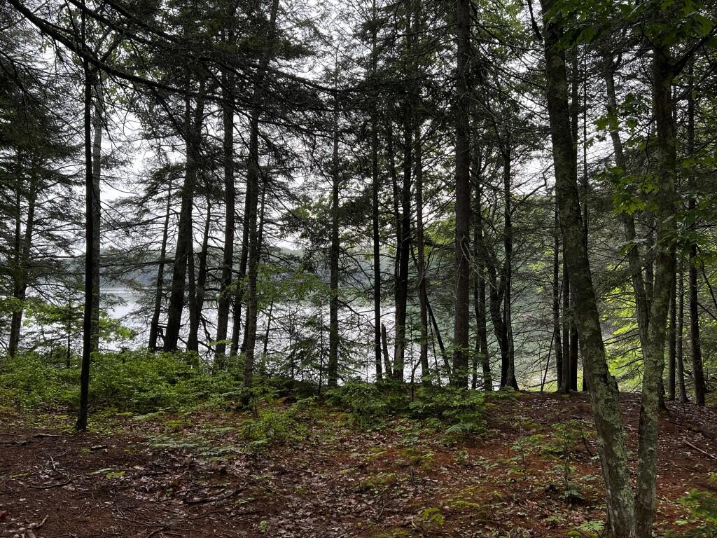 0 Ardan Road Boothbay, ME 04537 - Photo 5 of 9 IMG_0111