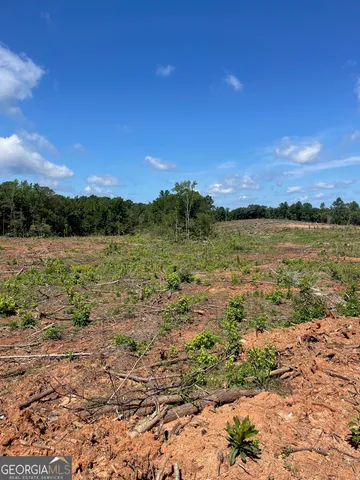 $59,000 | 0 Allen Road, Butler, GA 31006