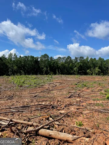 $59,000 | 0 Allen Road, Butler, GA 31006