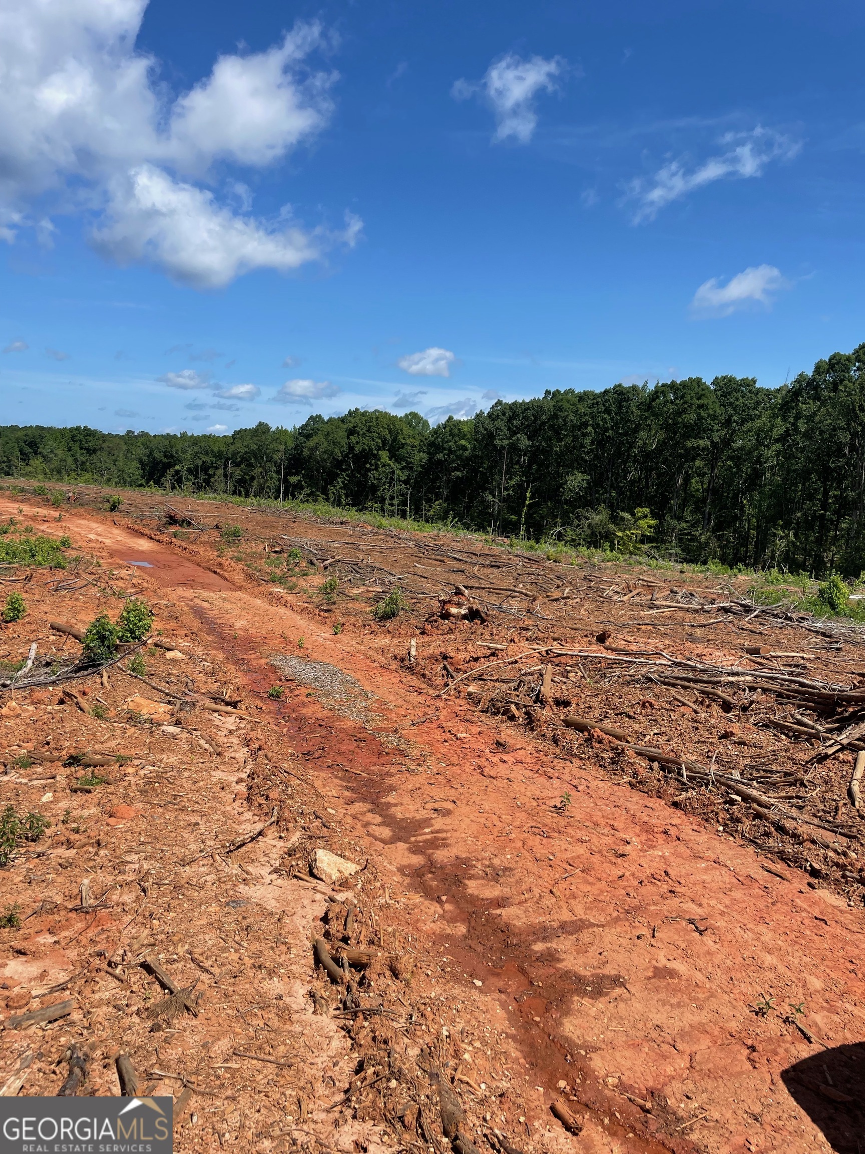 0 Allen Road Butler, GA 31006 - Photo 4 of 6