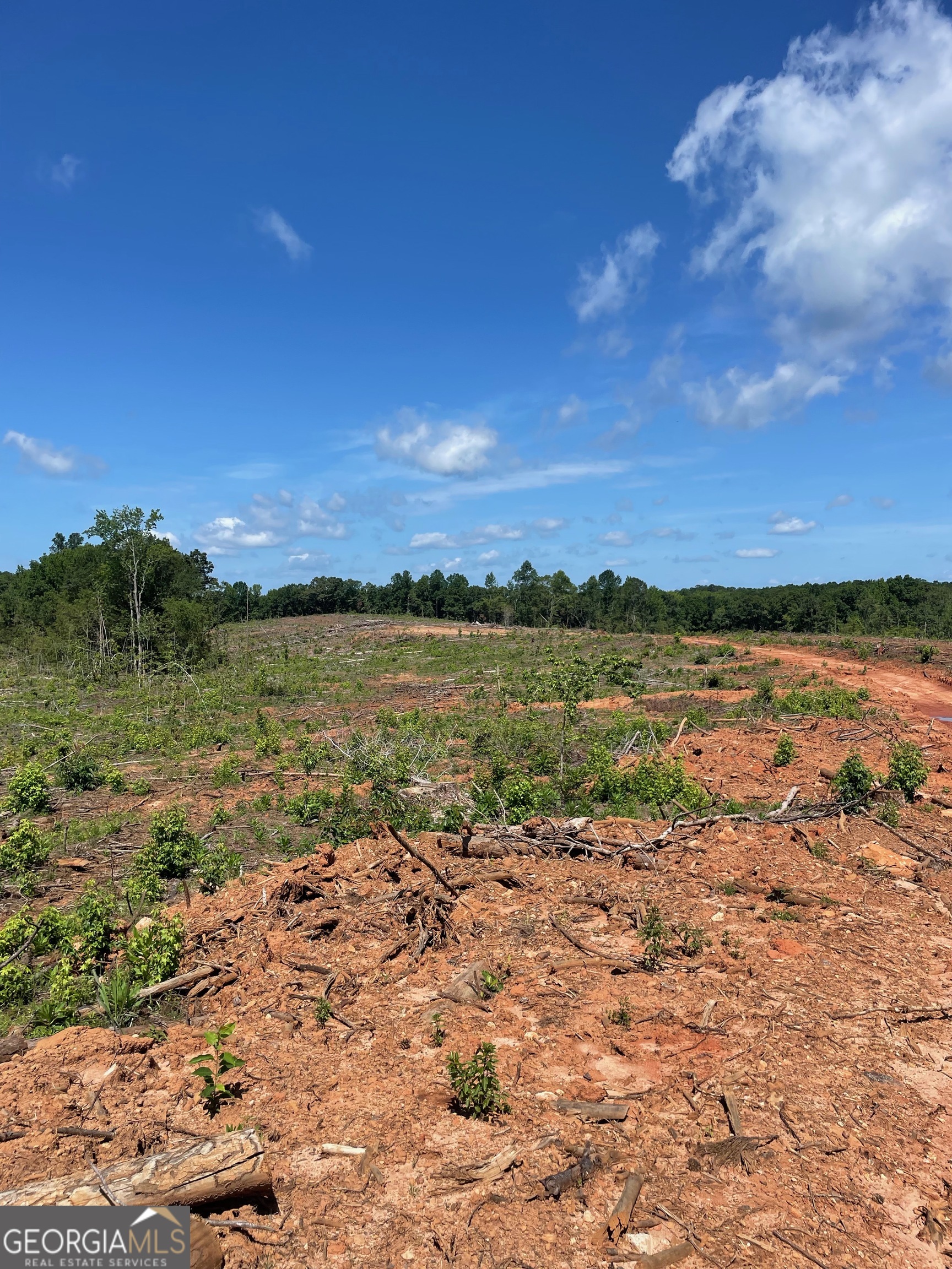 0 Allen Road Butler, GA 31006 - Photo 5 of 6