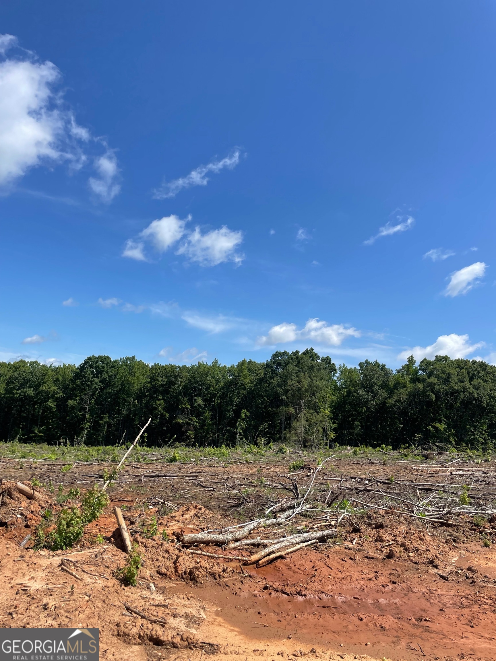0 Allen Road Butler, GA 31006 - Photo 6 of 6
