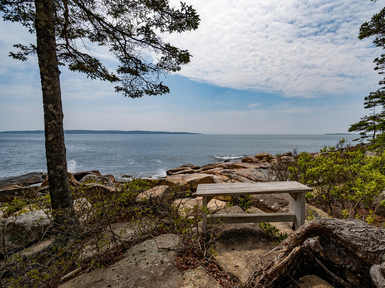 310 Red Point Road Swans Island, ME 04685 - Photo 47 of 50 Bench