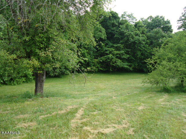 Lot 7 Star Point Road Celina, TN 38551 - Photo 13 of 30 DSC04685