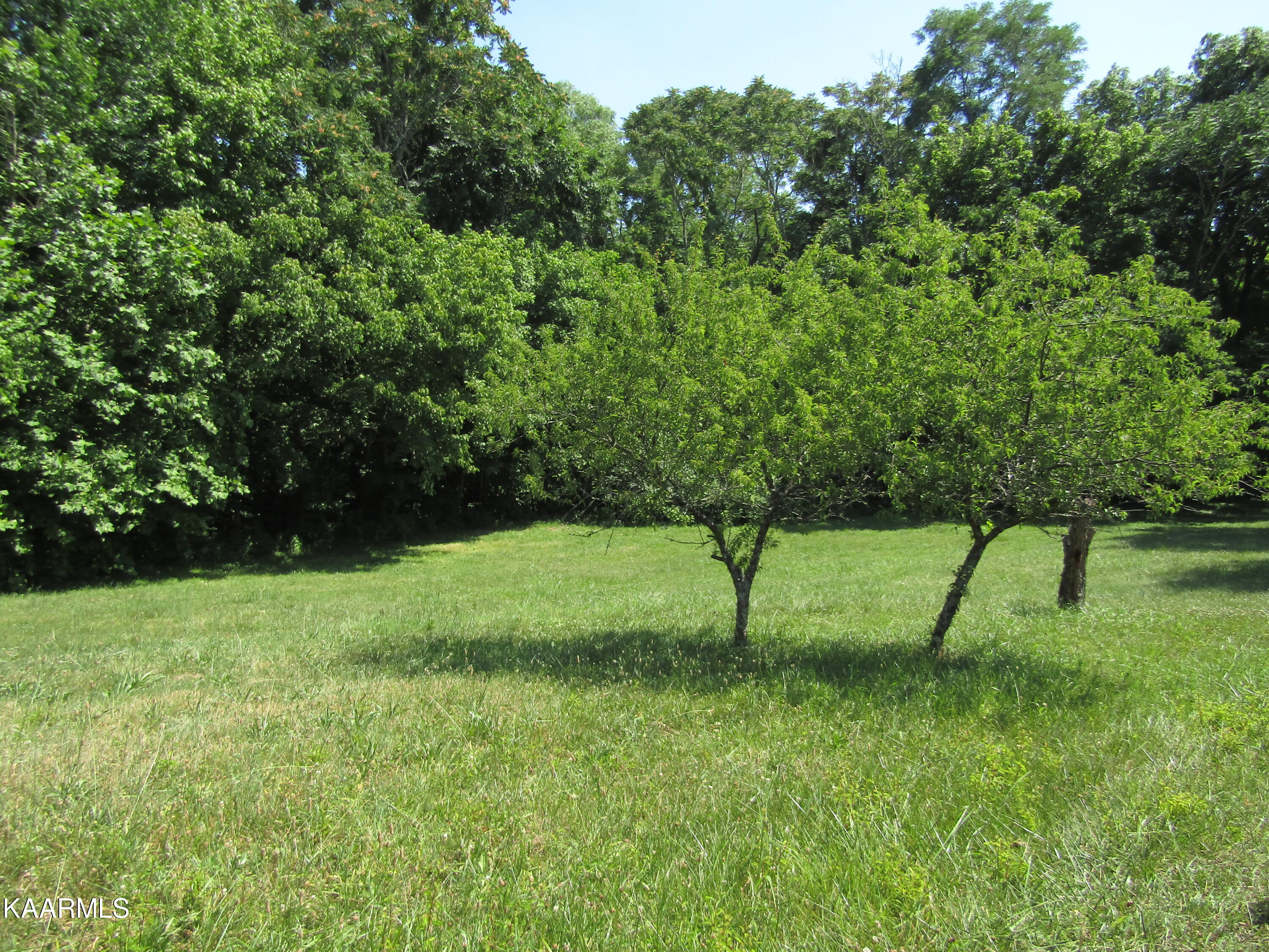 Lot 7 Star Point Road Celina, TN 38551 - Photo 14 of 30 IMG_7977