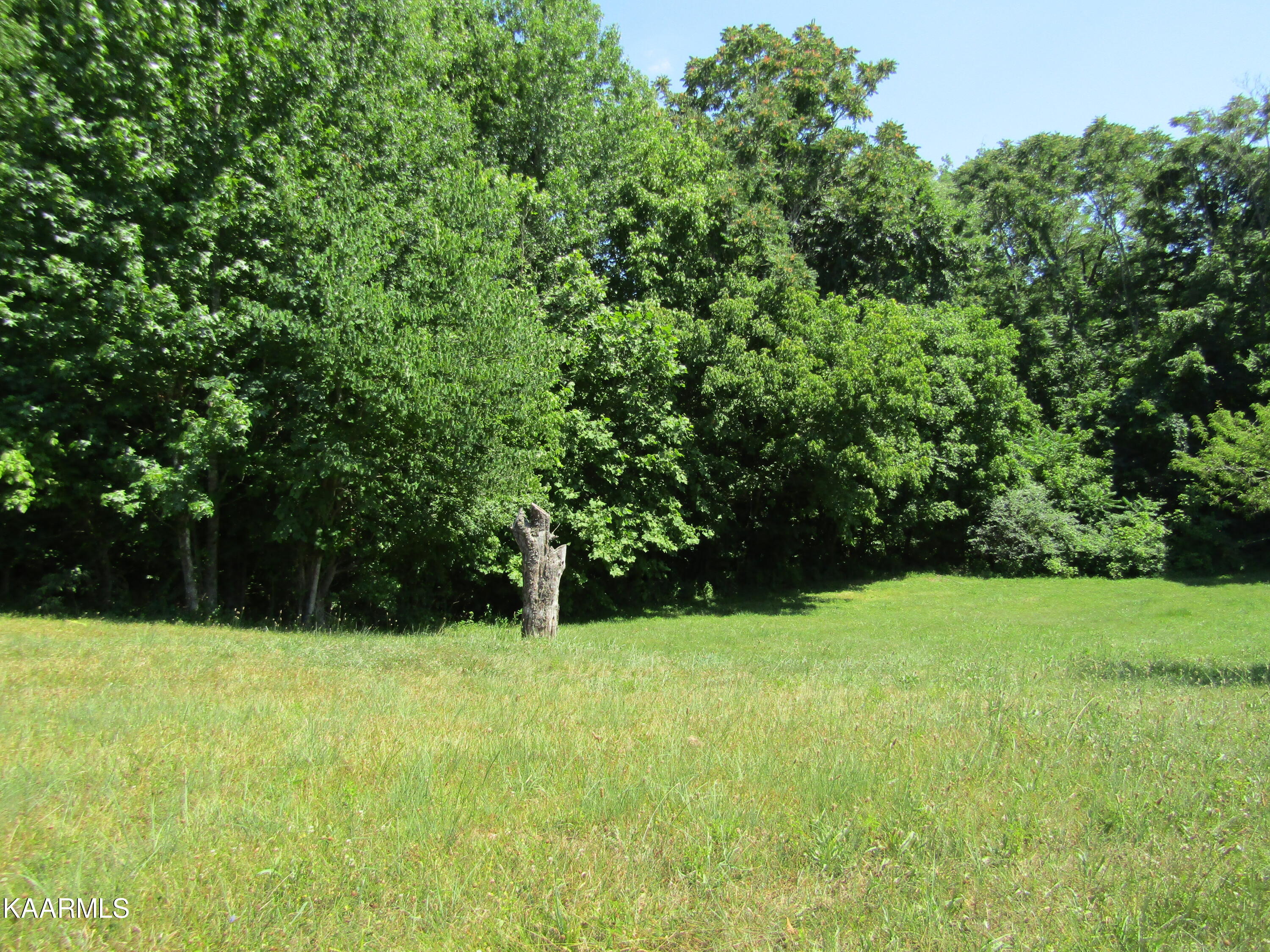 Lot 7 Star Point Road Celina, TN 38551 - Photo 15 of 30 IMG_7978