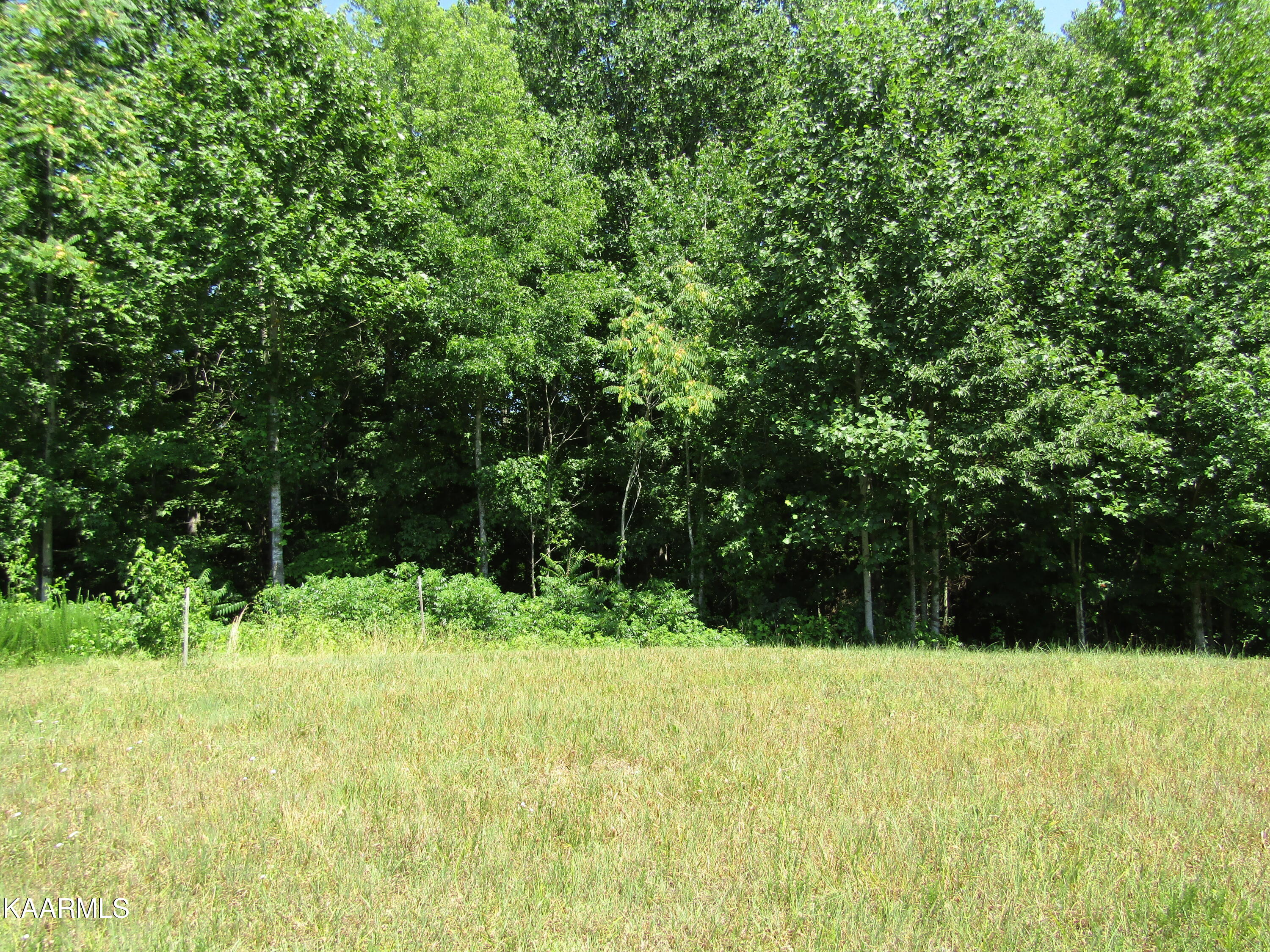 Lot 7 Star Point Road Celina, TN 38551 - Photo 16 of 30 IMG_7979
