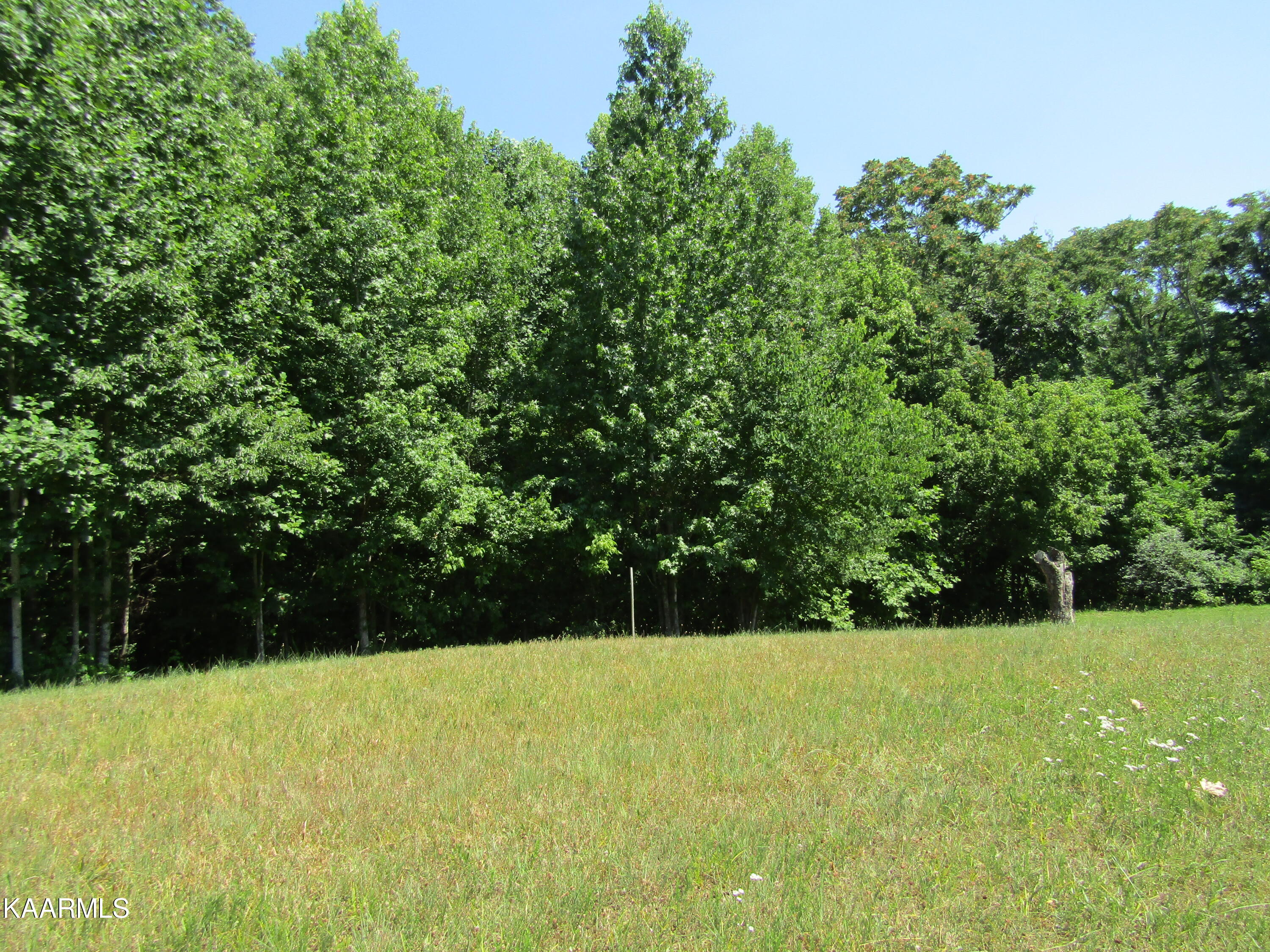 Lot 7 Star Point Road Celina, TN 38551 - Photo 17 of 30 IMG_7980