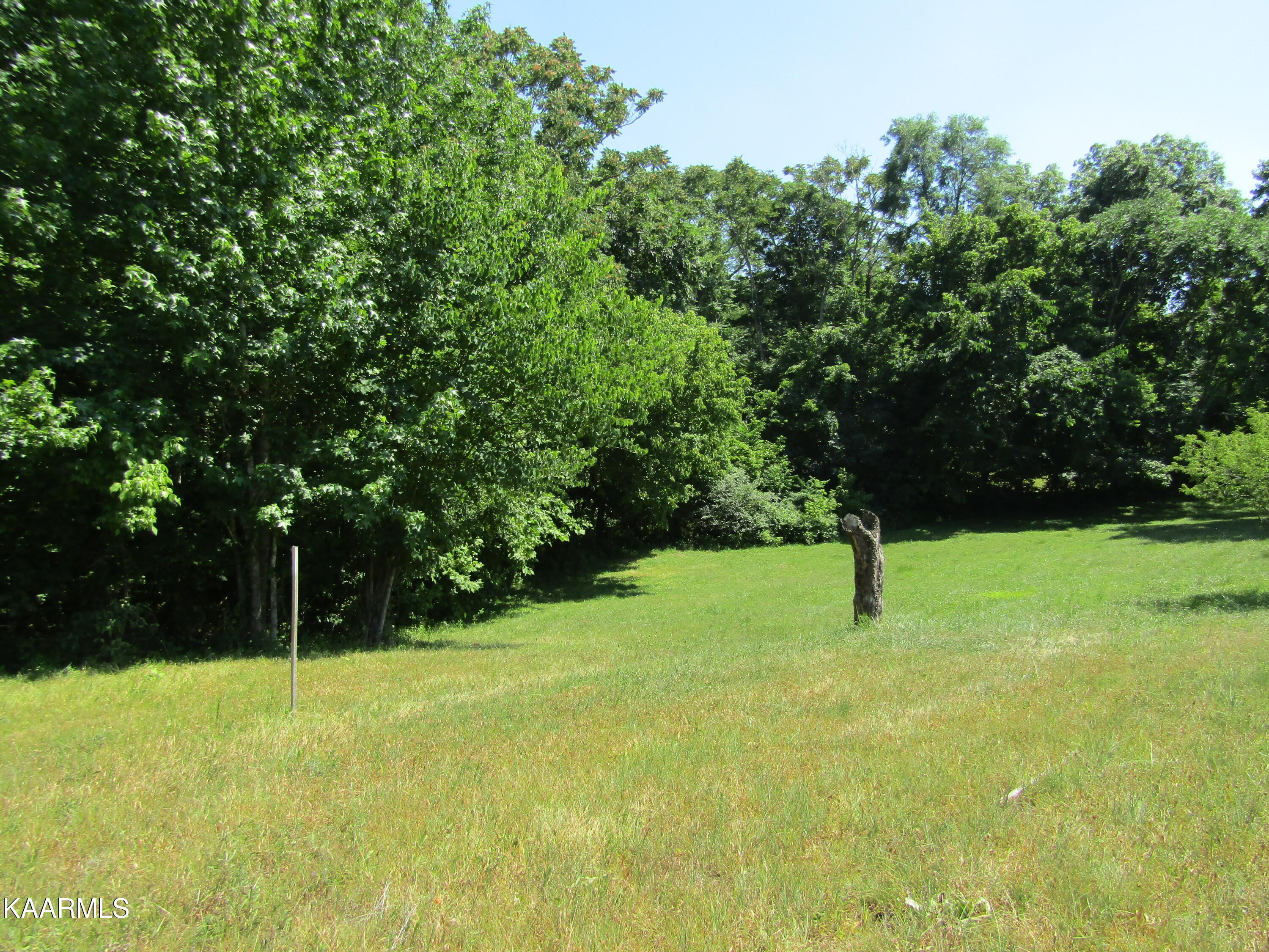 Lot 7 Star Point Road Celina, TN 38551 - Photo 20 of 30 IMG_7984