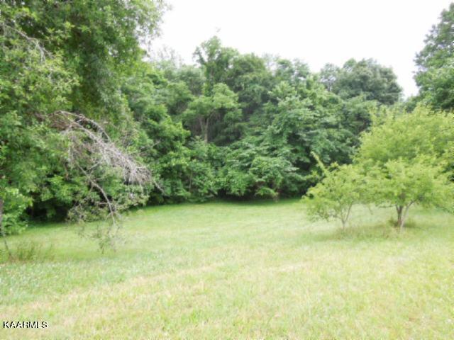 Lot 7 Star Point Road Celina, TN 38551 - Photo 2 of 30 07
