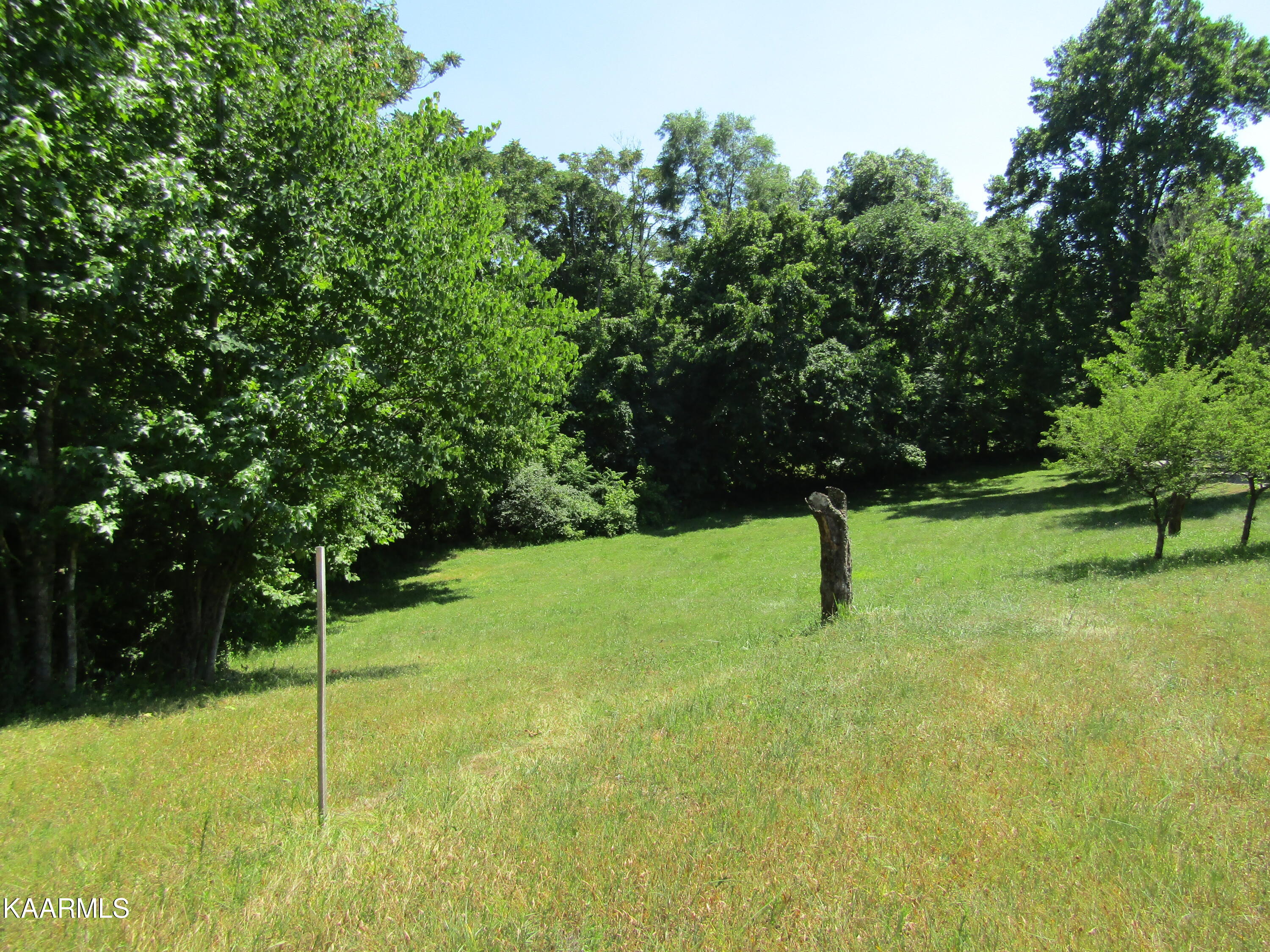 Lot 7 Star Point Road Celina, TN 38551 - Photo 21 of 30 IMG_7985