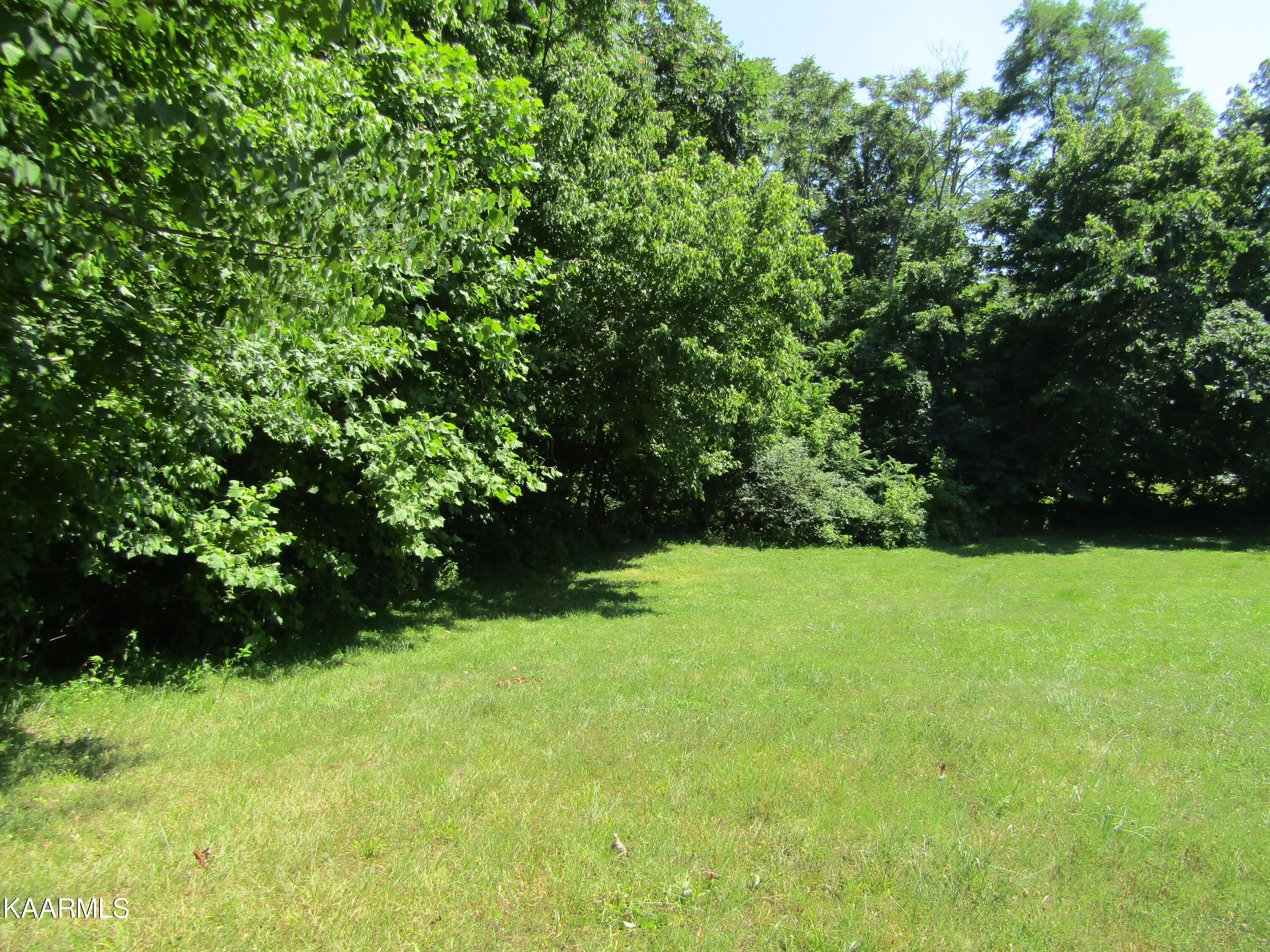 Lot 7 Star Point Road Celina, TN 38551 - Photo 24 of 30 IMG_7988