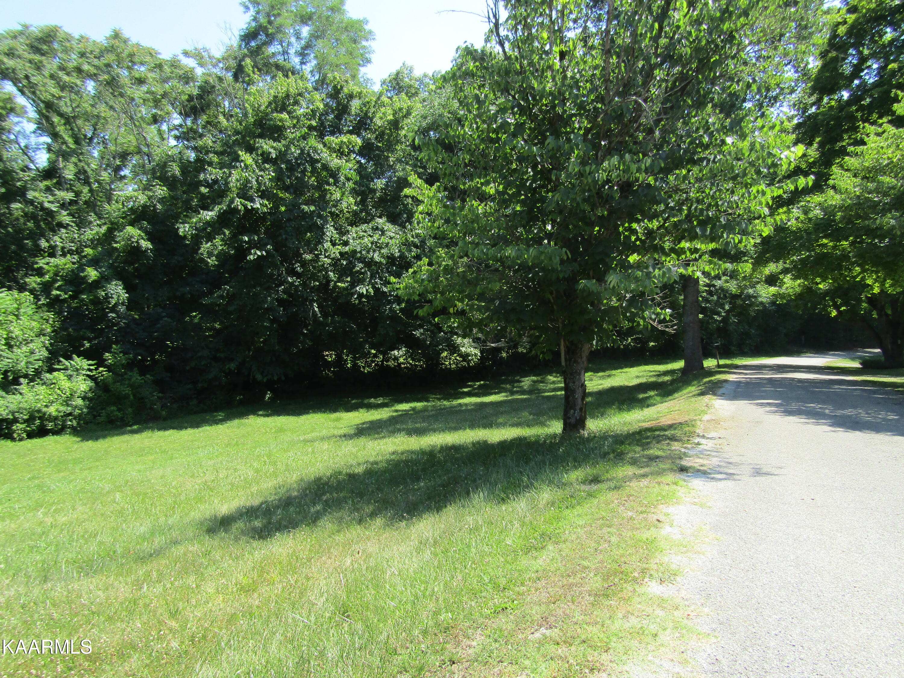 Lot 7 Star Point Road Celina, TN 38551 - Photo 27 of 30 IMG_7991