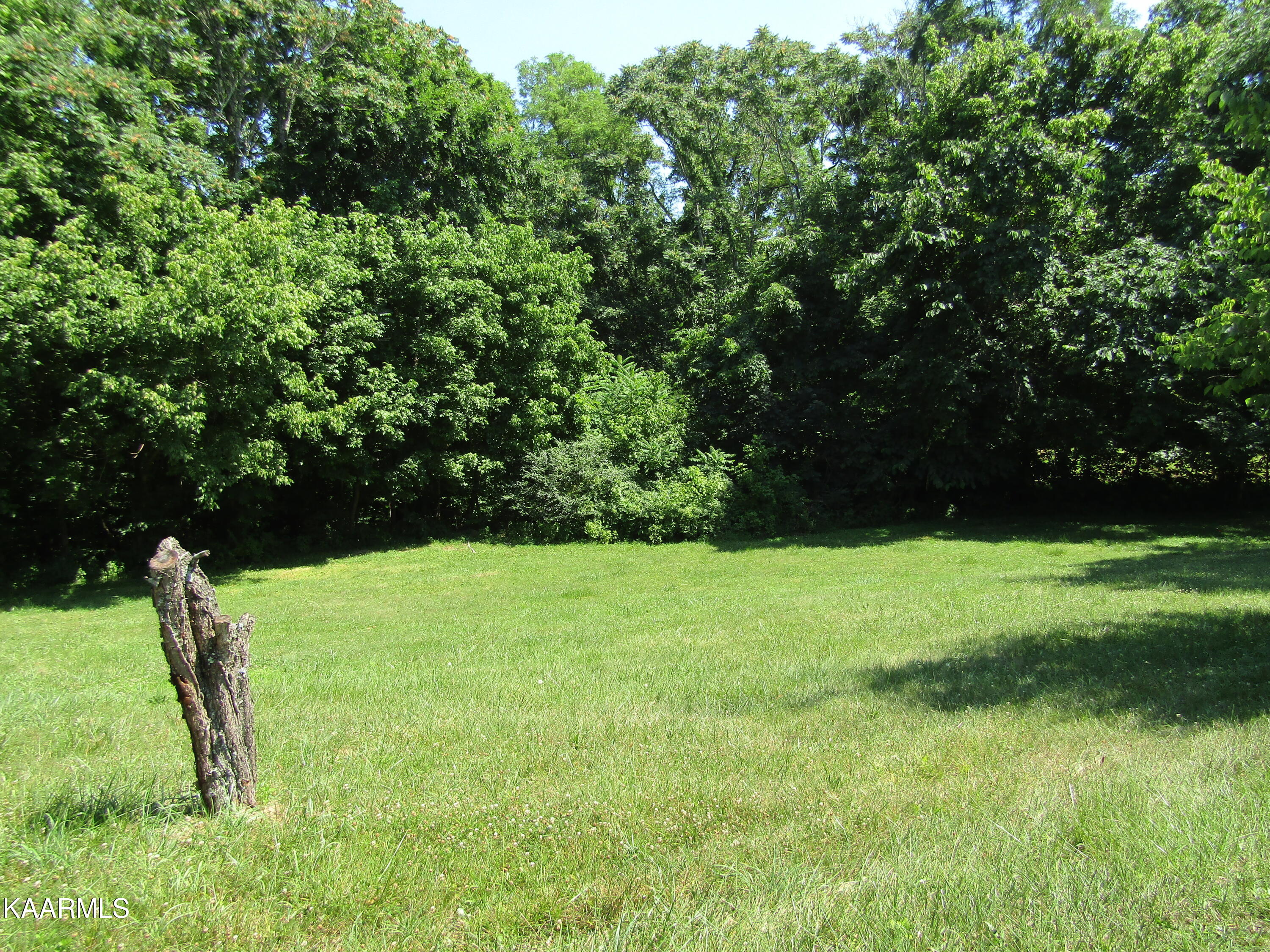 Lot 7 Star Point Road Celina, TN 38551 - Photo 28 of 30 IMG_7992