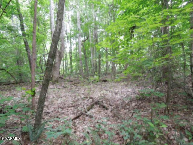 Lot 7 Star Point Road Celina, TN 38551 - Photo 4 of 30 06132013 018