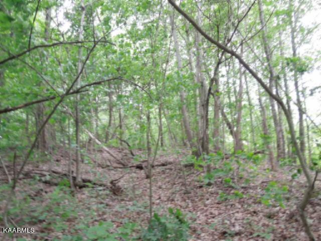 Lot 7 Star Point Road Celina, TN 38551 - Photo 6 of 30 06132013 022